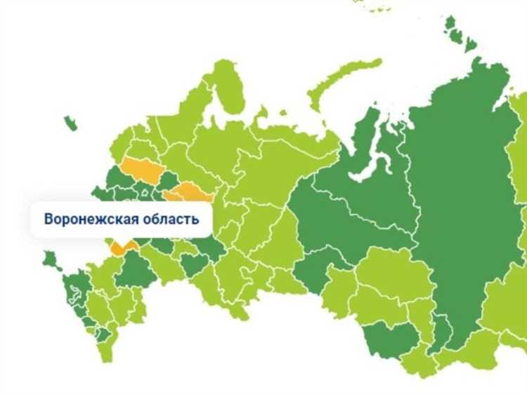 Как зарегистрировать автомобиль с номером 58?