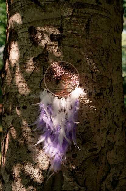 Настройка системы безопасности Pandora c 117