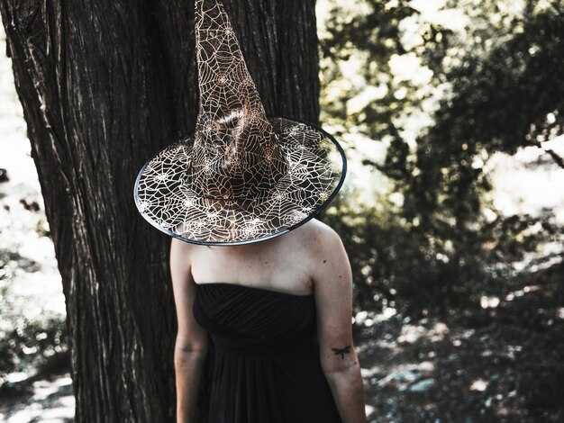 Рекомендации по уходу за оборудованием Pandora c 117