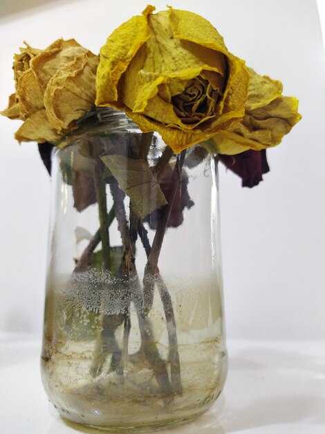 Как самостоятельно заменить бампер на ваз 2115