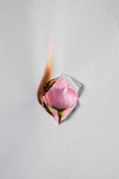 Советы по предотвращению повторных повреждений ваз 2115